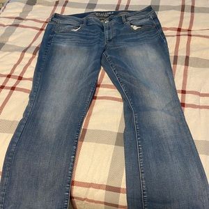 American Eagle 16W Long